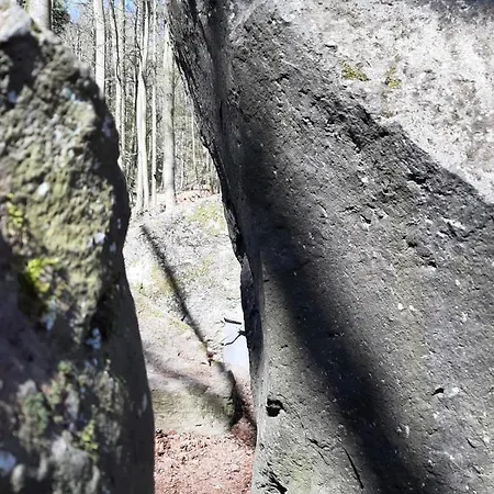 Am Vulkanpfad * Ettringen (Rhineland-Palatinate)